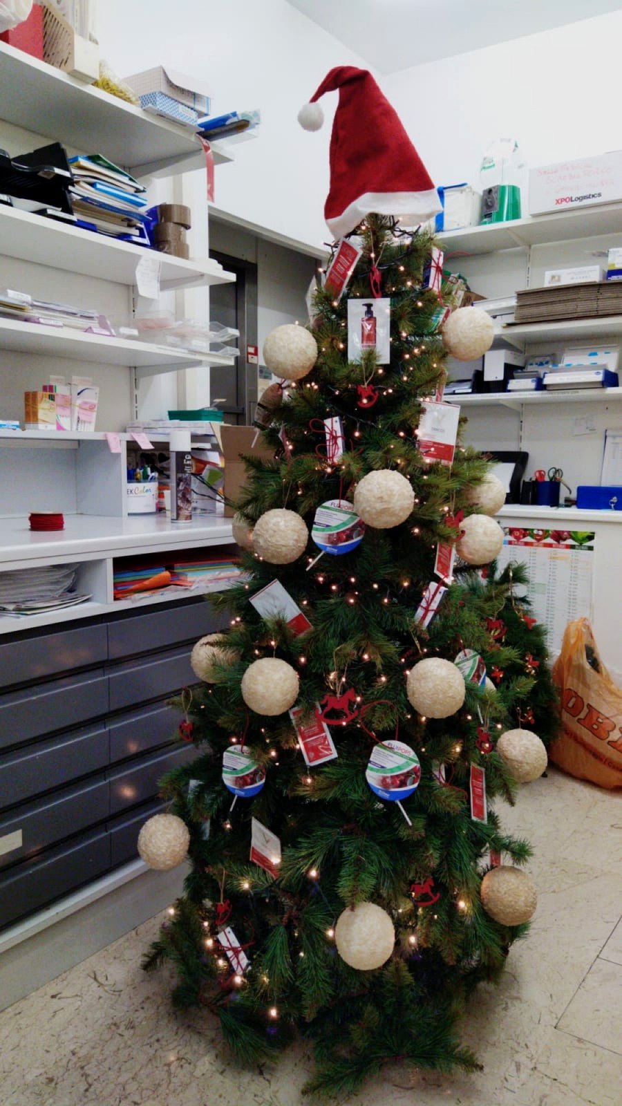 Albero di Natale allestito all'interno della Farmacia Mortari